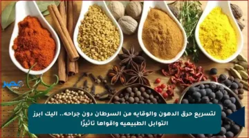 لتسريع حرق الدهون والوقاية من السرطان دون جراحة.. إليك أبرز التوابل الطبيعية وأقواها تأثيرًا